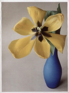 Konkurs miesiąca, listopad 2013, miejsce 3 [Dokument ikonograficzny]