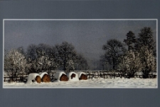 Konkurs miesiąca, luty 2014, wyróżnienie [Dokument ikonograficzny]