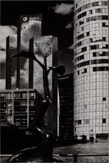 Konkurs miesiąca, marzec 2014, miejsce 1 [Dokument ikonograficzny]