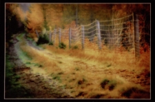 Konkurs miesiąca, marzec 2014, wyróżnienie [Dokument ikonograficzny]