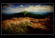 Konkurs miesiąca, maj 2014, miejsce 3 [Dokument ikonograficzny]