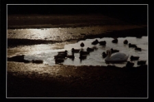 Konkurs miesiąca, czerwiec 2014, miejsce 1 [Dokument ikonograficzny]