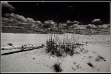 Konkurs miesiąca, czerwiec 2014, miejsce 3 [Dokument ikonograficzny]