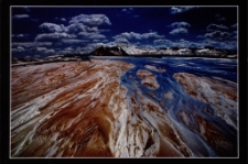 Konkurs miesiąca, czerwiec 2014, wyr&oacute;żnienie [Dokument ikonograficzny]