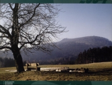 Hochwald im Lausitzer Gebirge = Hvozd v Lužických horách = Ostęp w Górach Łużyckich [Dokument ikonograficzny]