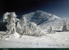 Śnieżka w Karkonoszach = Schneekoppe im Riesengebirge [Dokument ikonograficzny]