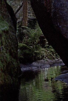 Konkurs miesiąca, lipiec 2014, wyróżnienie [Dokument ikonograficzny]