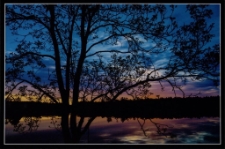 Konkurs miesiąca, sierpień 2014, miejsce 1 [Dokument ikonograficzny]