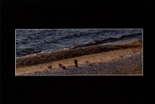 Konkurs miesiąca, sierpień 2014, miejsce 2 [Dokument ikonograficzny]