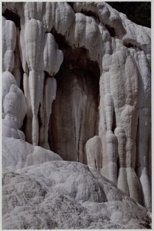 Konkurs miesiąca, sierpień 2014, wyróżnienie [Dokument ikonograficzny]