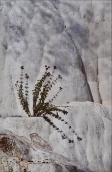 Konkurs miesiąca, wrzesień 2014, wyr&oacute;żnienie [Dokument ikonograficzny]