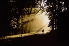 Konkurs miesiąca, listopad 2014, miejsce 2 [Dokument ikonograficzny]