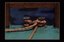 Konkurs miesiąca, listopad 2014, miejsce 3 [Dokument ikonograficzny]