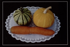 Konkurs miesiąca, listopad 2014, wyróżnienie [Dokument ikonograficzny]