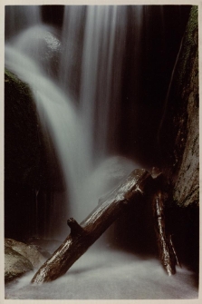 Konkurs miesiąca, listopad 2014, wyróżnienie [Dokument ikonograficzny]