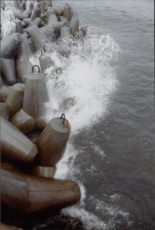 Konkurs miesiąca, grudzień 2014, miejsce 2 [Dokument ikonograficzny]