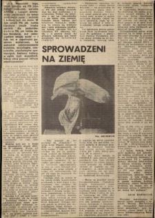 Sprowadzeni na ziemię