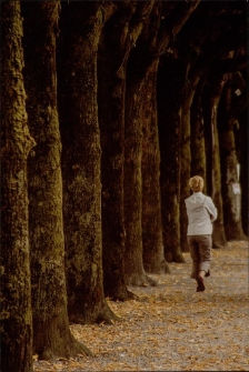 Konkurs miesiąca, styczeń 2015, miejsce 3 [Dokument ikonograficzny]