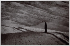 Konkurs miesiąca, styczeń 2015, wyróżnienie [Dokument ikonograficzny]