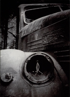 Konkurs miesiąca, luty 2015, wyróżnienie [Dokument ikonograficzny]