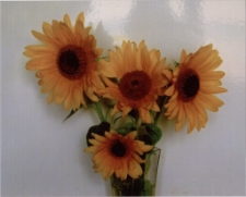 Konkurs miesiąca, luty 2015, wyróżnienie [Dokument ikonograficzny]