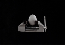 Konkurs miesiąca, maj 2015, miejsce 1 [Dokument ikonograficzny]