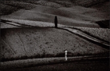 Konkurs miesiąca, maj 2015, miejsce 3 [Dokument ikonograficzny]