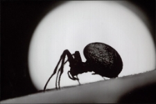 Konkurs miesiąca, maj 2015, wyróżnienie [Dokument ikonograficzny]