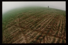 Konkurs miesiąca, lipiec 2015, wyróżnienie [Dokument ikonograficzny]