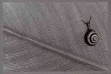 Konkurs miesiąca, listopad 2015, wyróżnienie [Dokument ikonograficzny]