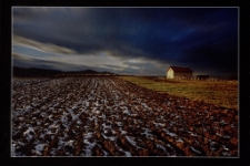 Konkurs miesiąca, listopad 2015, wyróżnienie [Dokument ikonograficzny]