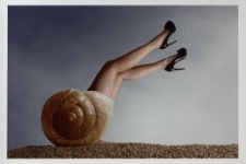 Konkurs miesiąca, grudzień 2015, miejsce 1 [Dokument ikonograficzny]