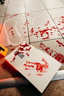 Festiwal Kryminału 2025 (fot.16) [Dokument ikonograficzny]