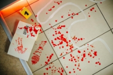 Festiwal Kryminału 2025 (fot.17) [Dokument ikonograficzny]