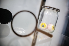 Festiwal Kryminału 2025 (fot.34) [Dokument ikonograficzny]