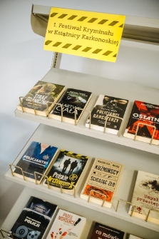 Festiwal Kryminału 2025 (fot.41) [Dokument ikonograficzny]