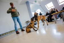 Zajęcia z psami, Jacek Falkenberg (fot. 2) [Dokument ikonograficzny]