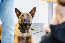 Zajęcia z psami, Jacek Falkenberg (fot. 3) [Dokument ikonograficzny]