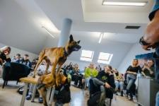 Zajęcia z psami, Jacek Falkenberg (fot. 16) [Dokument ikonograficzny]