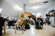 Zajęcia z psami, Jacek Falkenberg (fot. 17) [Dokument ikonograficzny]