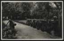 Ohlau &ndash; Partie im Park [Dokument ikonograficzny]