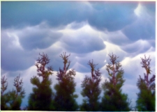 Konkurs miesiąca, styczeń 2014, miejsce 3 [Dokument ikonograficzny]