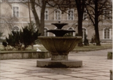 Zdrojowa fontanna [Dokument ikonograficzny]