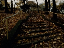 Jesienna zaduma I [Dokument ikonograficzny]