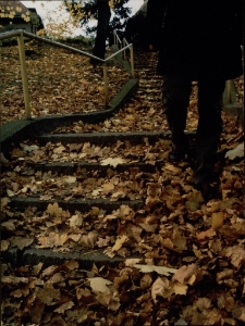 Jesienna zaduma II [Dokument ikonograficzny]