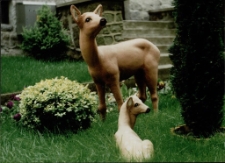 W przydomowym ogr&oacute;dku [Dokument ikonograficzny]