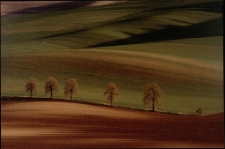 Konkurs miesiąca, lipiec 2022, miejsce 2 [Dokument ikonograficzny]