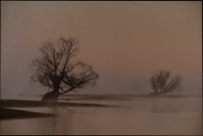 Konkurs miesiąca, lipiec 2022, miejsce 3 [Dokument ikonograficzny]