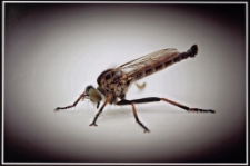 Konkurs miesiąca, listopad 2022, miejsce 1 [Dokument ikonograficzny]