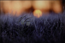 Konkurs miesiąca, listopad 2022, miejsce 2 [Dokument ikonograficzny]